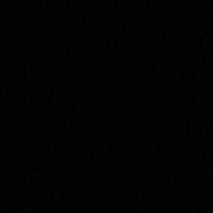 Meet your Posher, Gracee